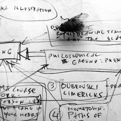 A fly and a chart