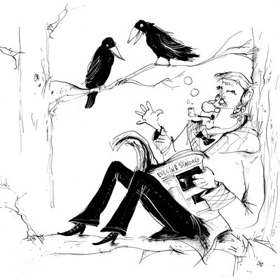 Annoying crows