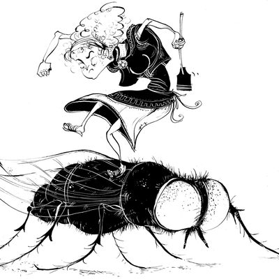 Annoying flies