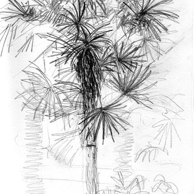 Barbican Conservatory