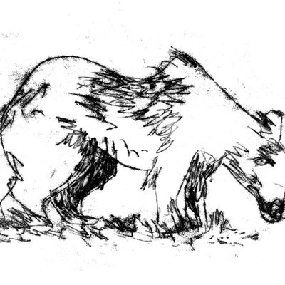 Bear monoprint