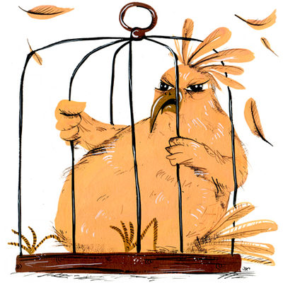 Canary Caged