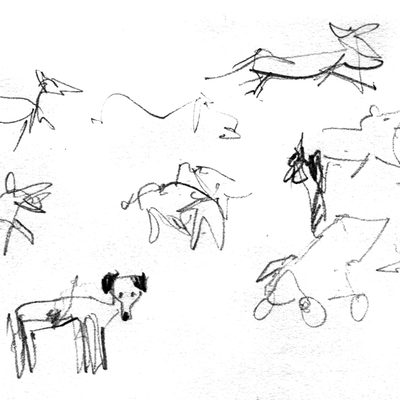 Dog, bird, and a pub stool sketches from Falmouth
