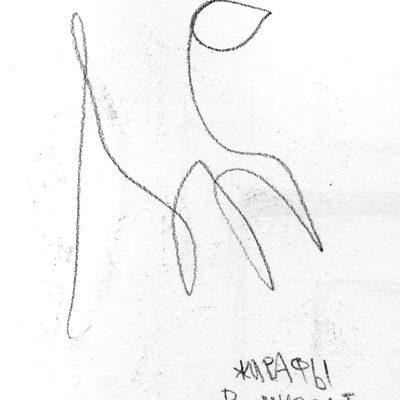 giraffes_museon