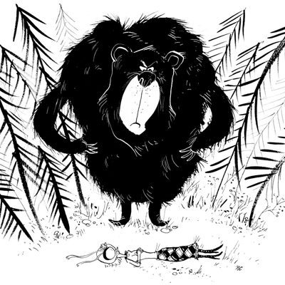 Go away, bear!
