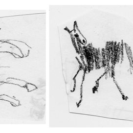 Horses and cowboys