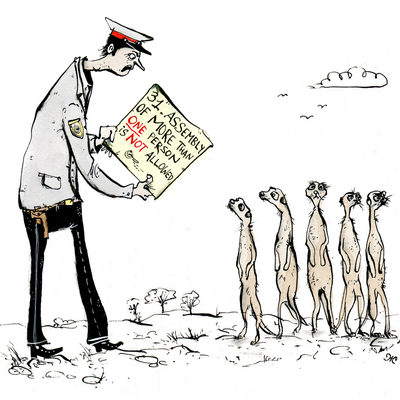 IF - resolutions