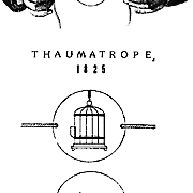 thaumatrope
