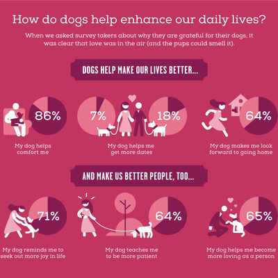 doggylove
