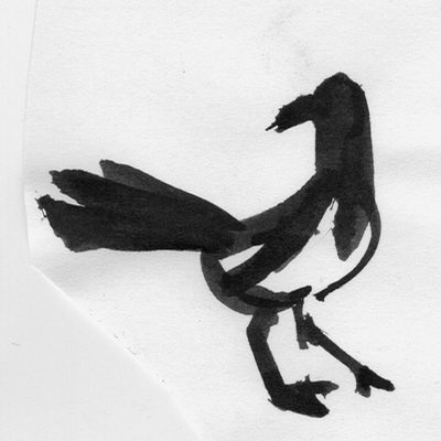 Magpie