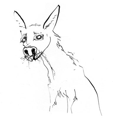 More random pen sketches