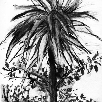Palm and face