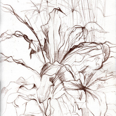 palm_tree_podolsk_613