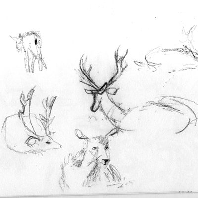 richmond_deers_313