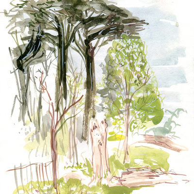 Richmond Park
