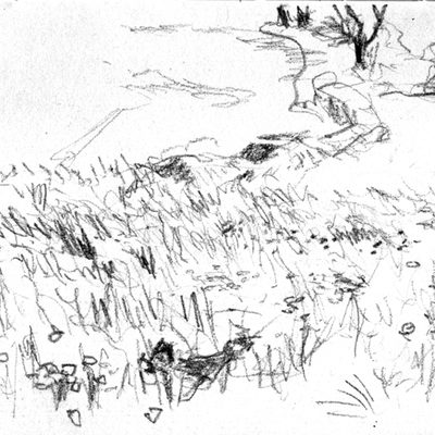 field_713