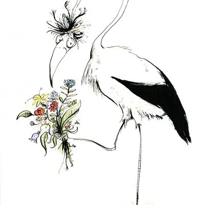 The bird