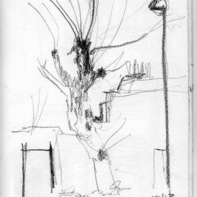 Tree in Islington