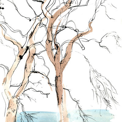 Trees sketch