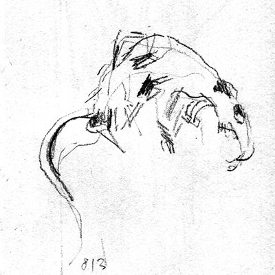 Scan-131215-0045_2