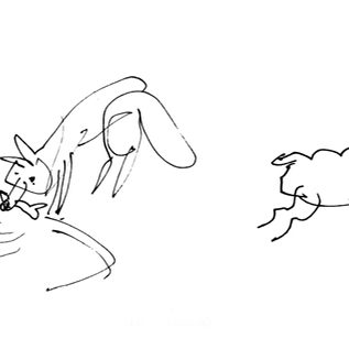 Wolf catching fish and elk