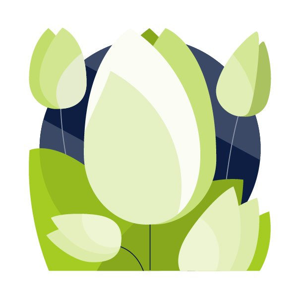 Middlebury Magazine spot illustrations, image 2